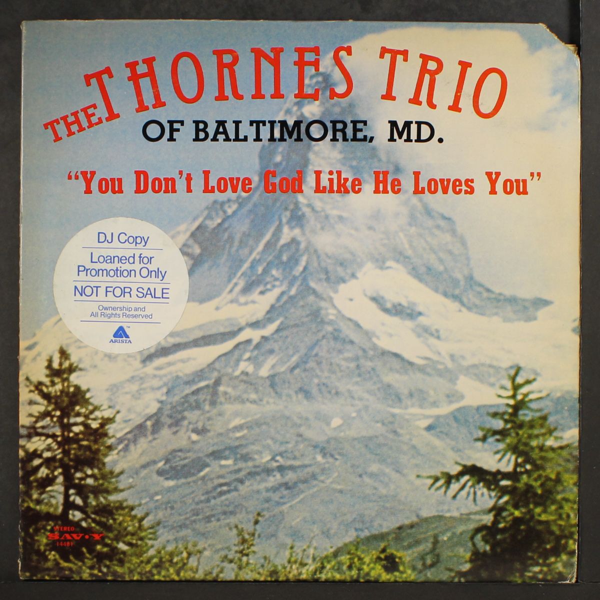 you don't love god like he loves you by THORNES TRIO