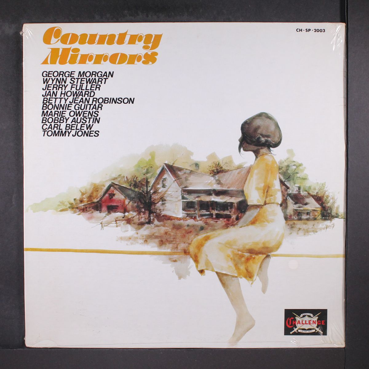 country mirrors by VARIOUS