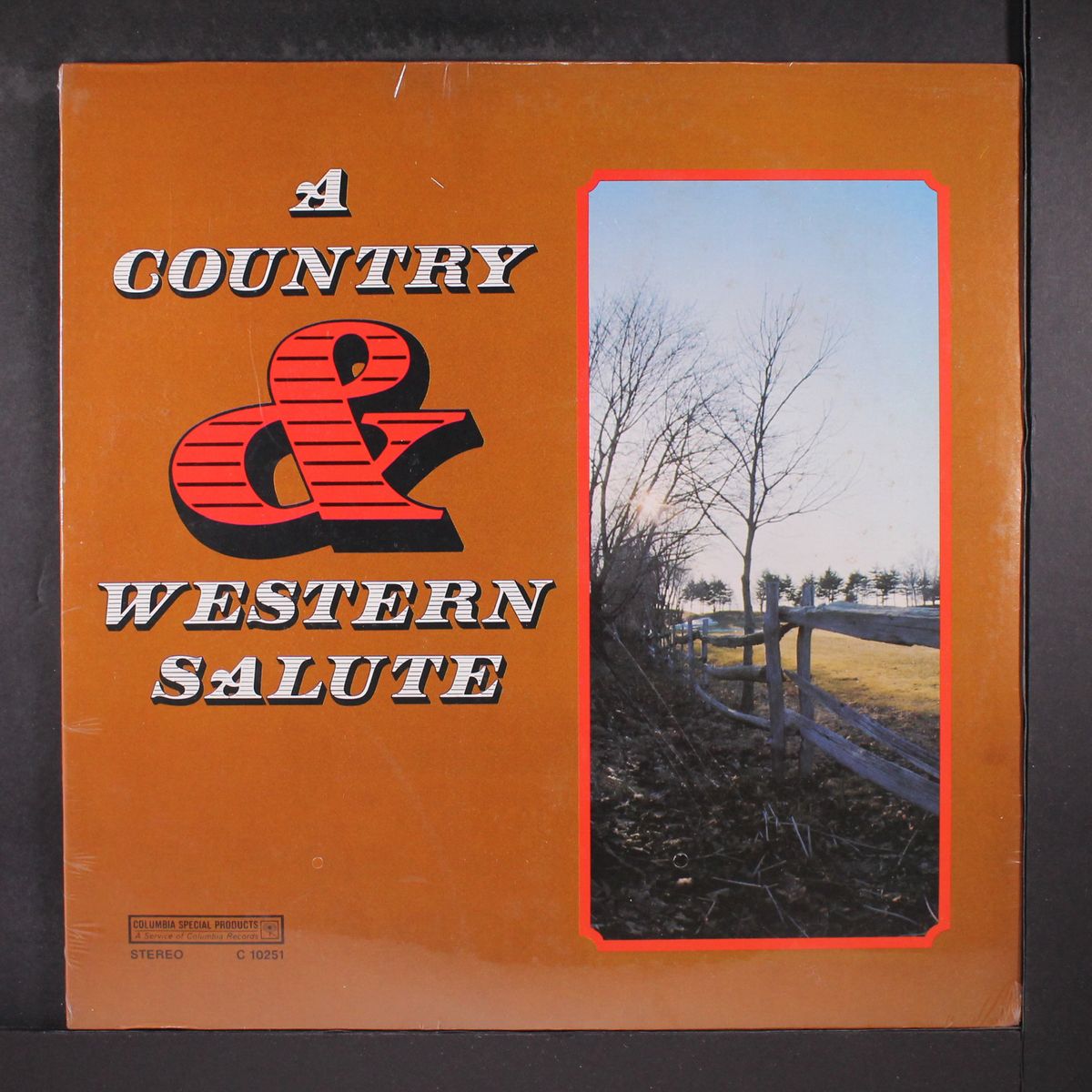 a country & western salute by VARIOUS