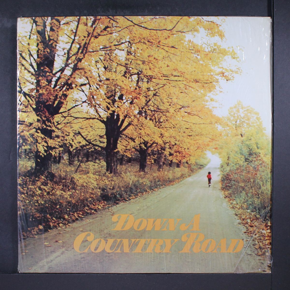 down a country road by VARIOUS