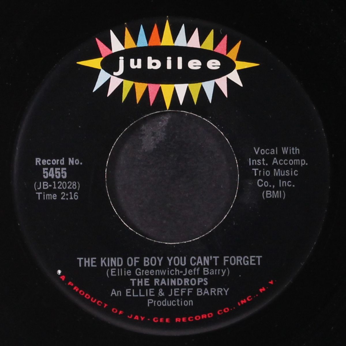 the kind of boy you can't forget / even though you can't dance by RAINDROPS