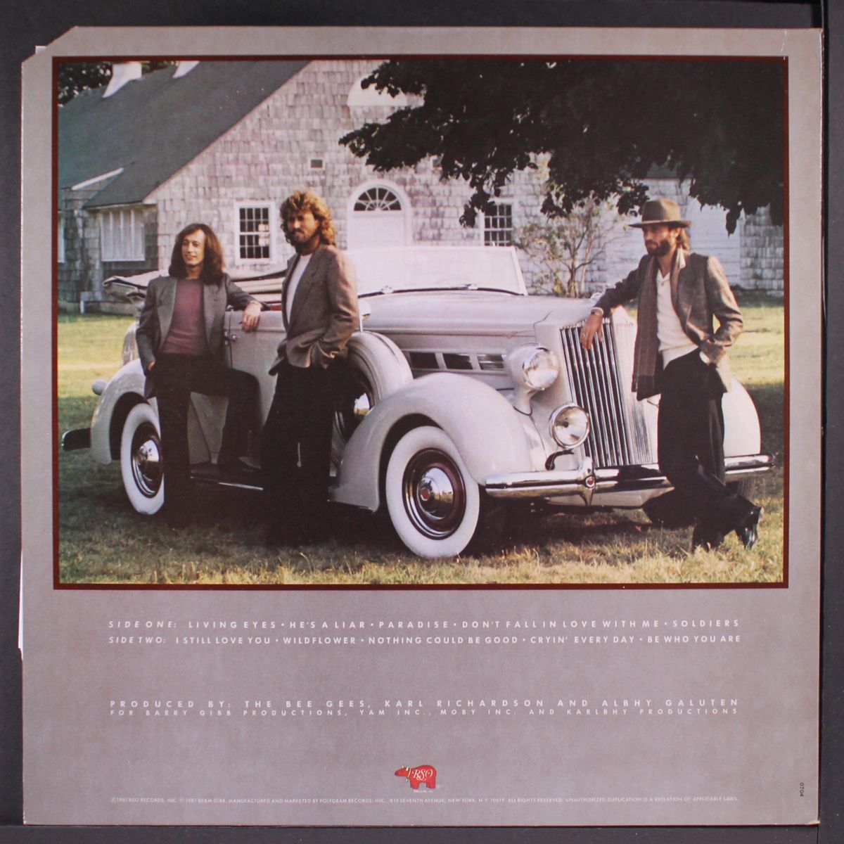 living eyes by BEE GEES