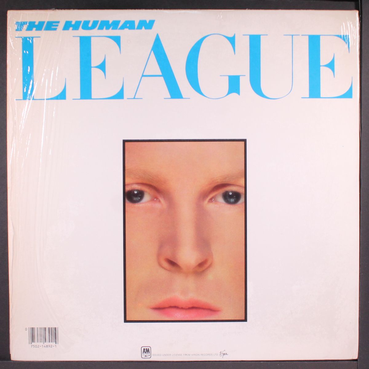 dare by HUMAN LEAGUE
