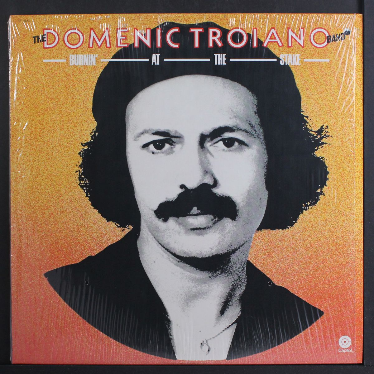 burnin' at the stake by DOMENIC TROIANO