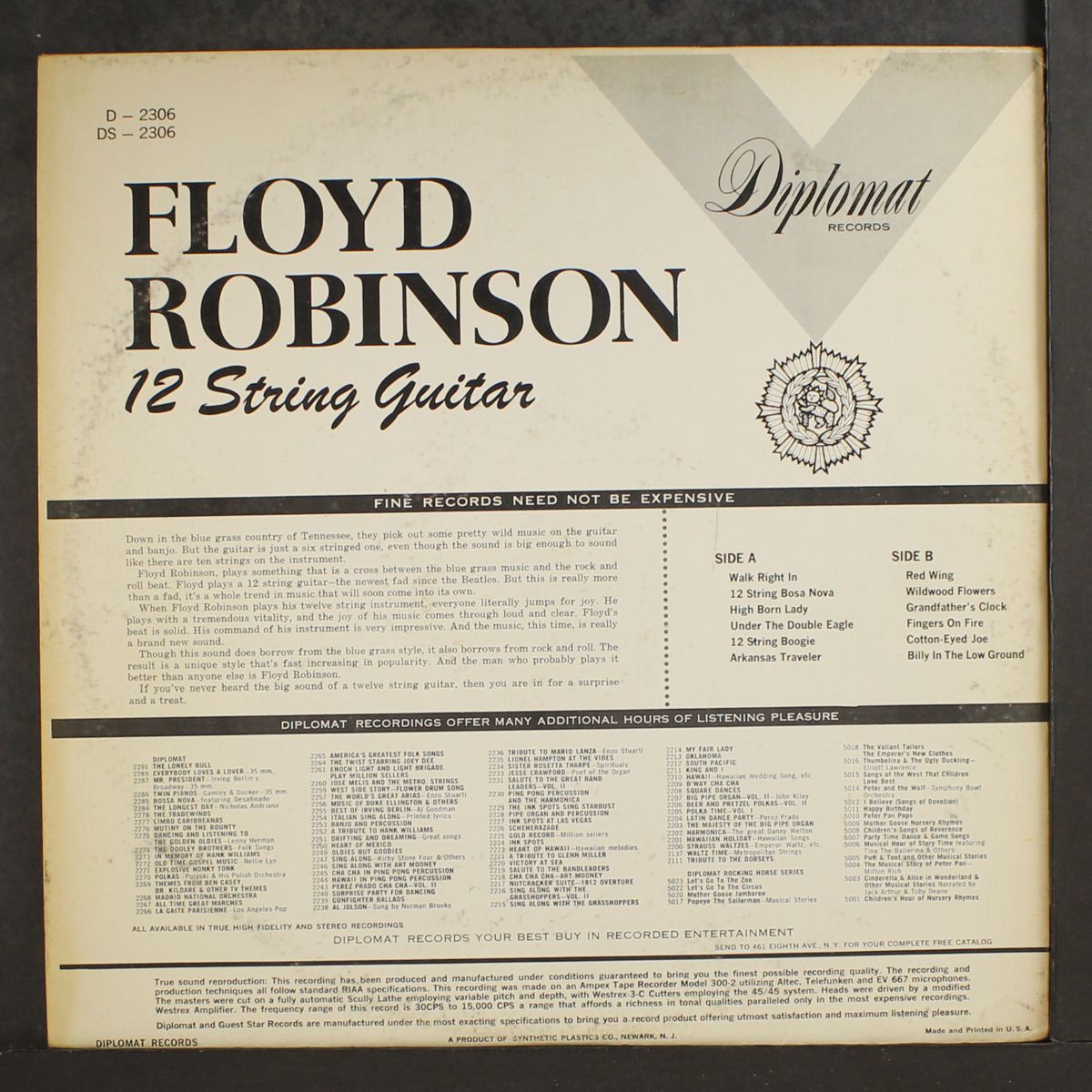 12 string guitar by FLOYD ROBINSON