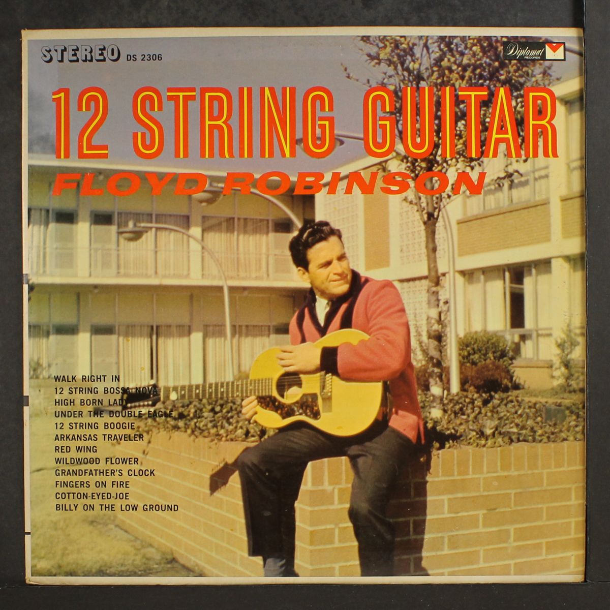 12 string guitar by FLOYD ROBINSON