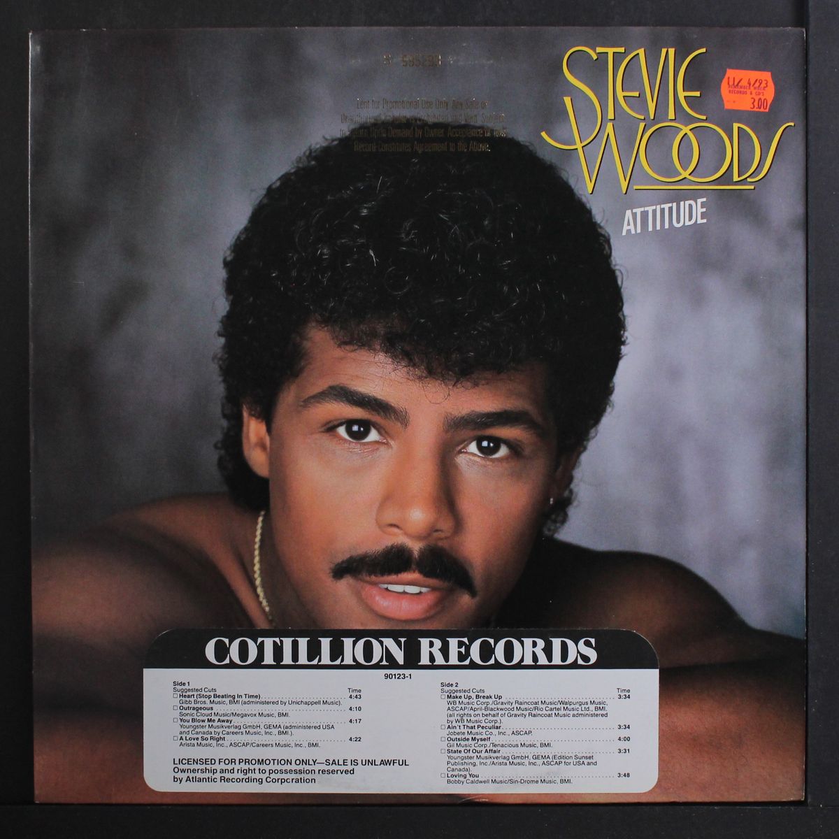 attitude by STEVIE WOODS