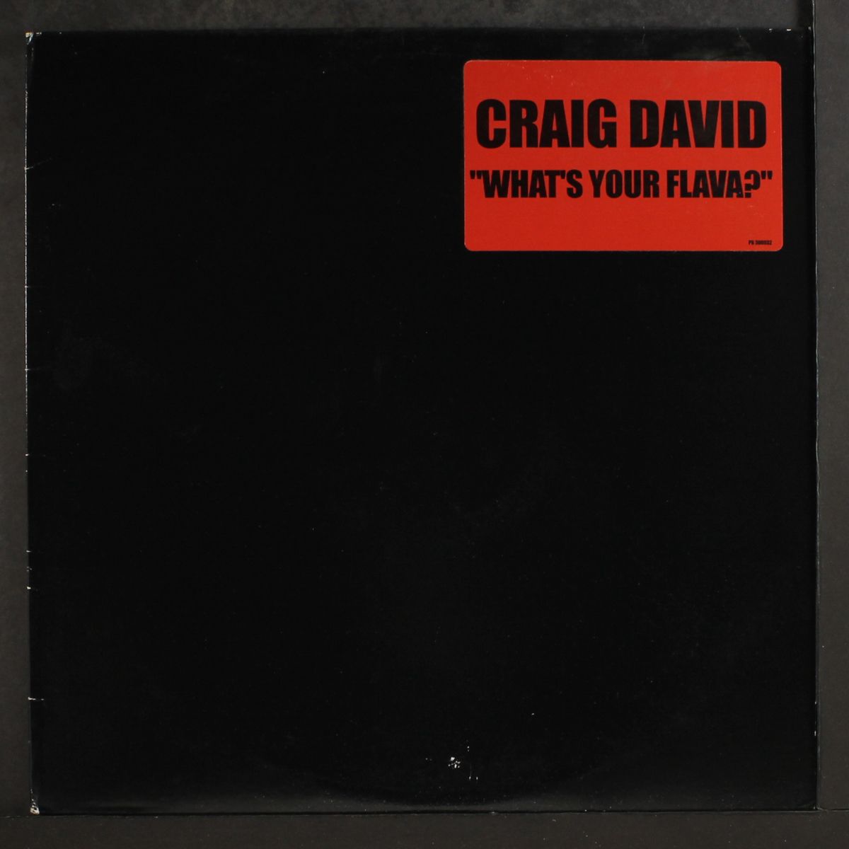 what's your flava? by CRAIG DAVID