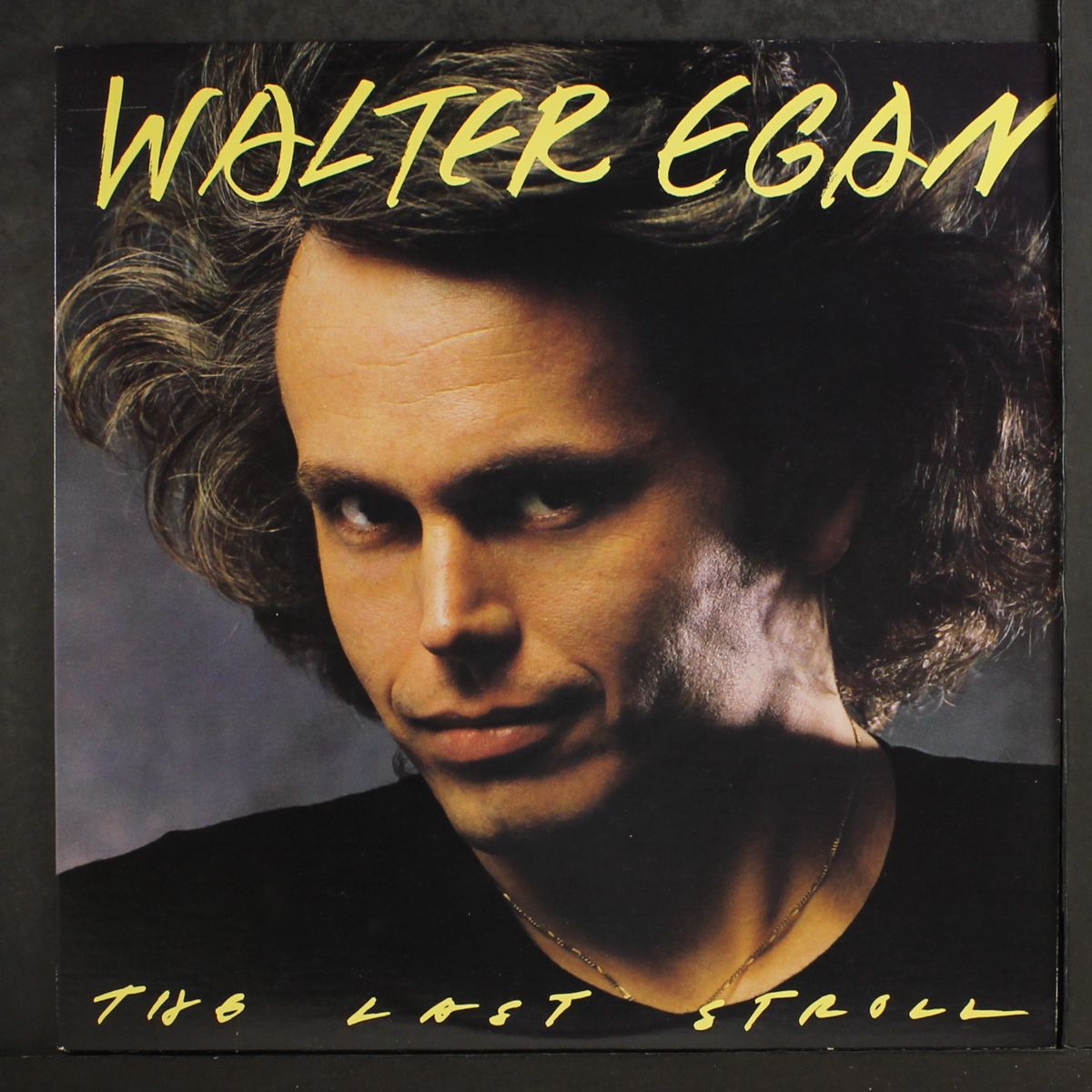 the last stroll by WALTER EGAN