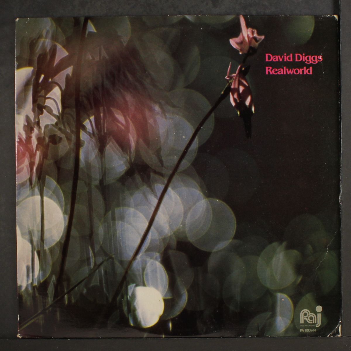 realworld by DAVID DIGGS