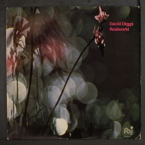 DAVID DIGGS