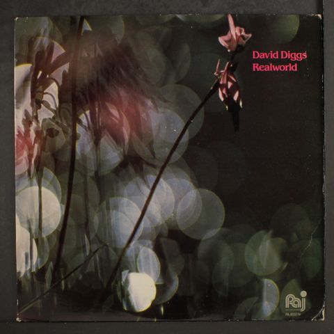DAVID DIGGS