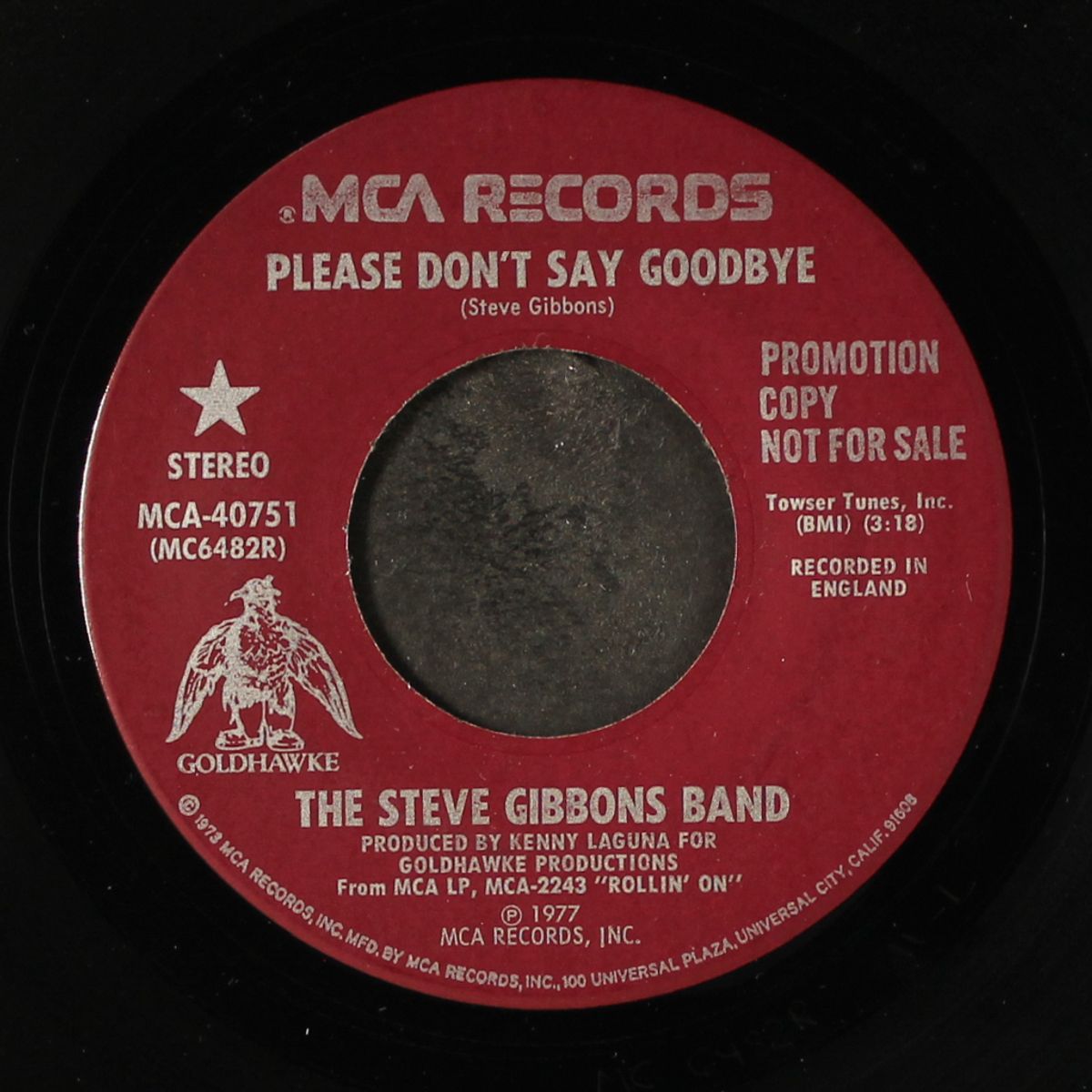please don't say goodbye / same by STEVE GIBBONS BAND