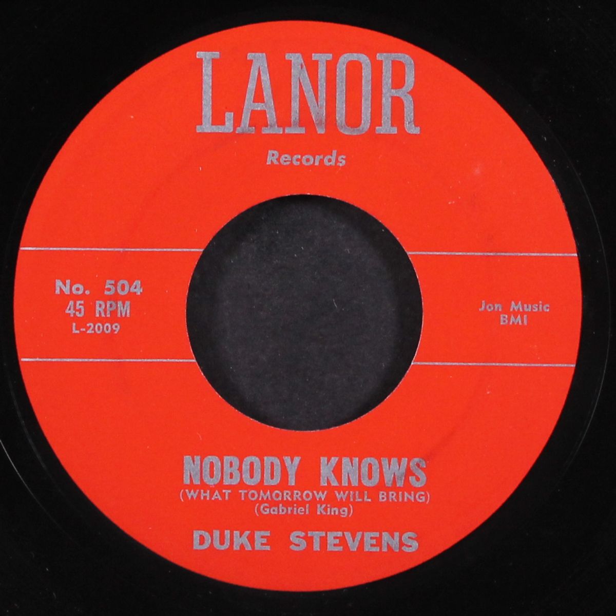 i've been your fool by DUKE STEVENS