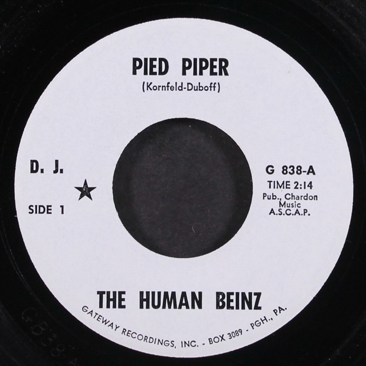 my generation / pied piper by HUMAN BEINZ