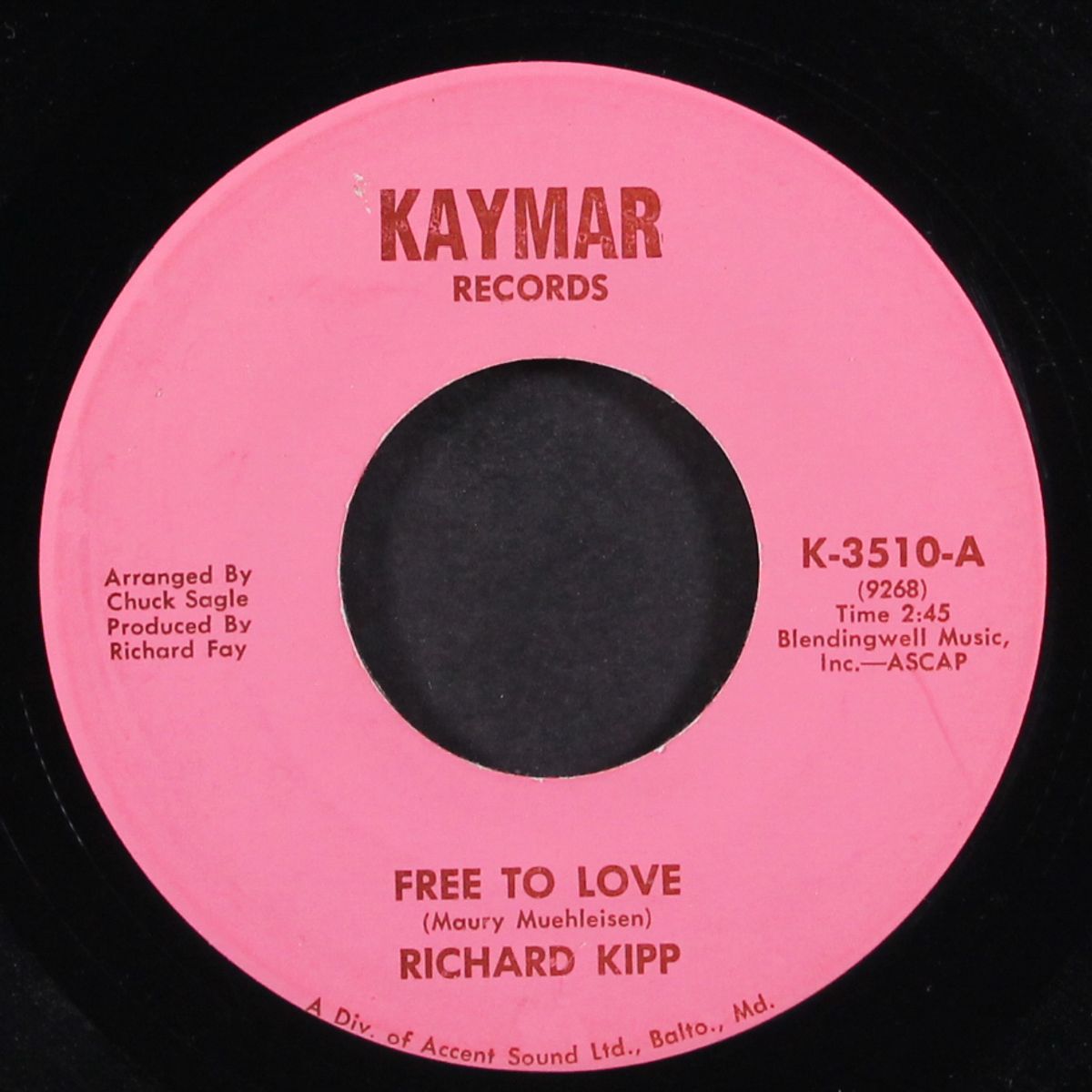 free to love / husband, father by RICHARD KIPP