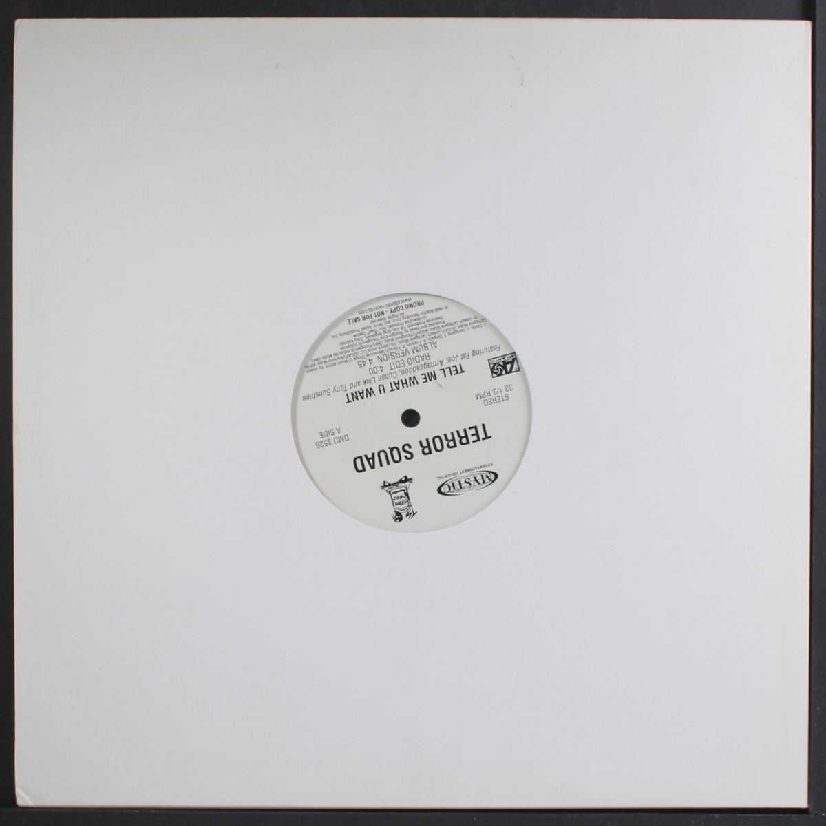 tell me what you want / instro by TERROR SQUAD