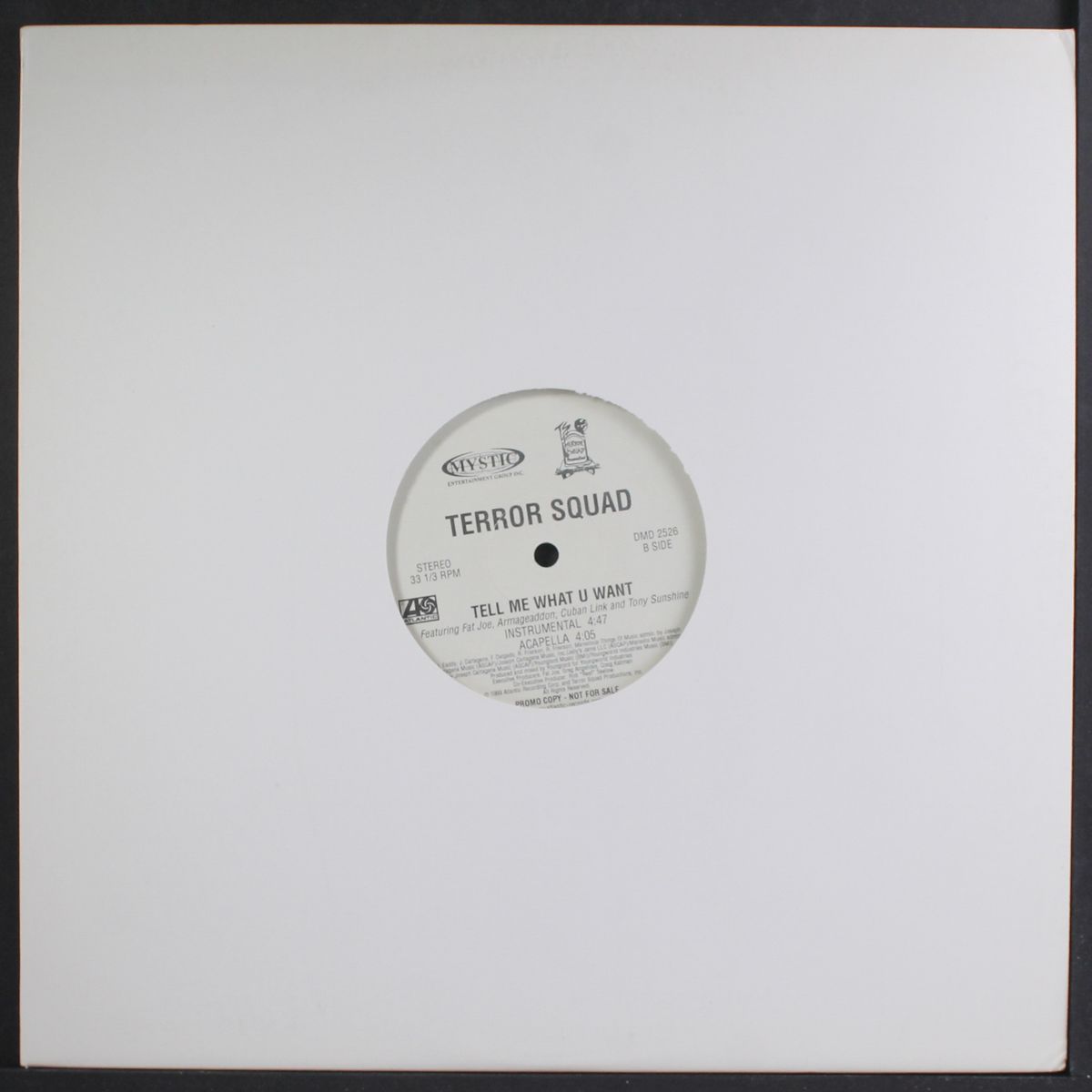tell me what you want / instro by TERROR SQUAD