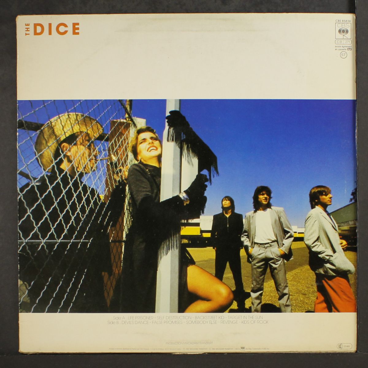the dice by DICE