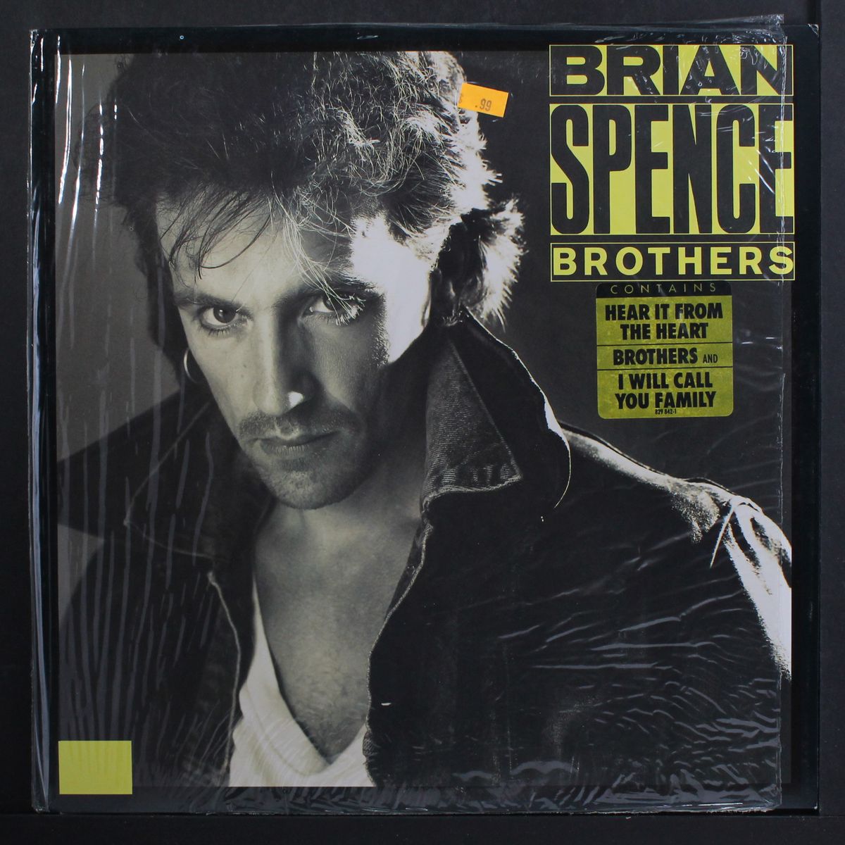 brothers by BRIAN SPENCE