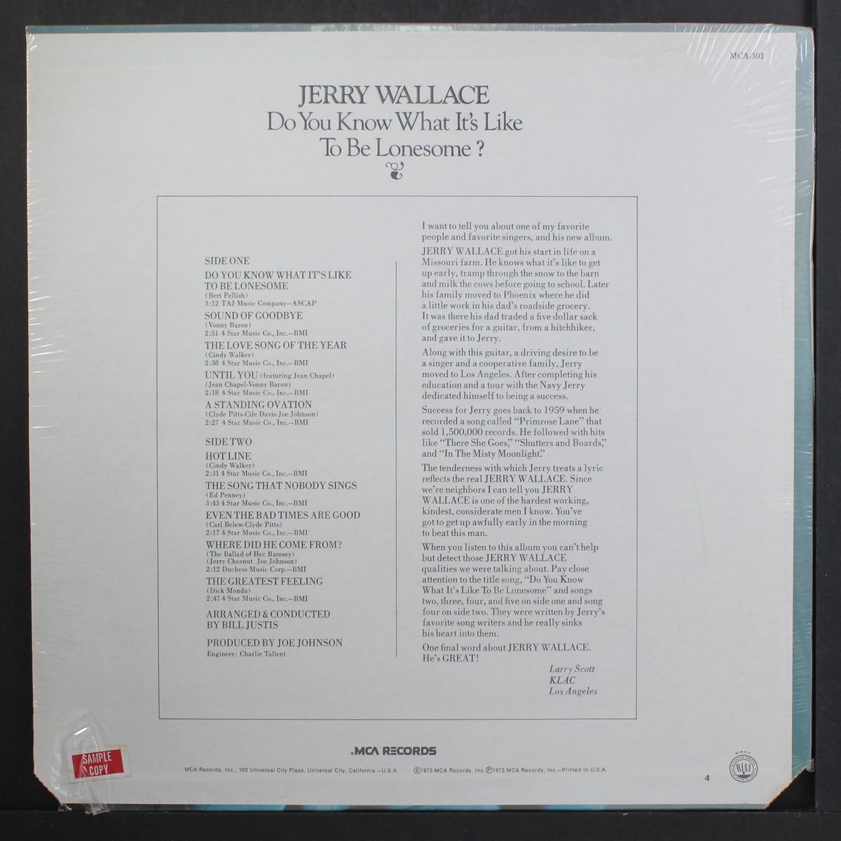 do you know what it's like...? by JERRY WALLACE