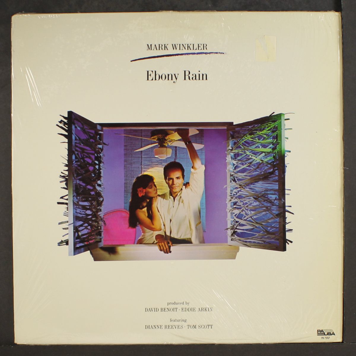 ebony rain by MARK WINKLER