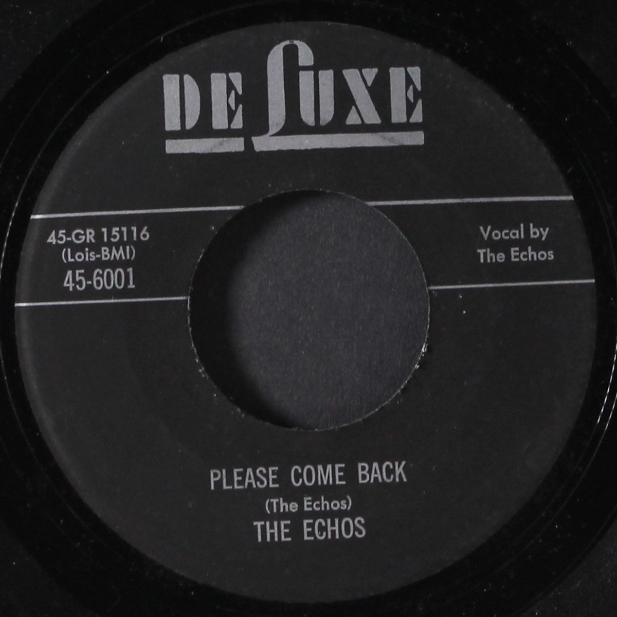 please come back / all that wine is gone by ECHOS