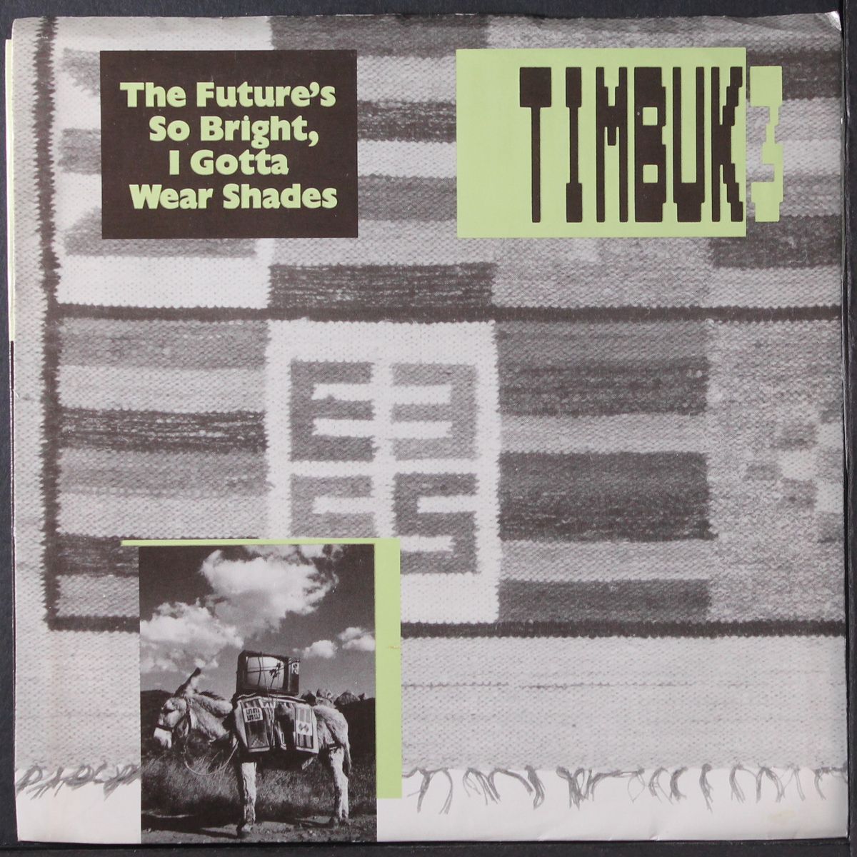 the future's so bright, i gotta wear shades by TIMBUK 3
