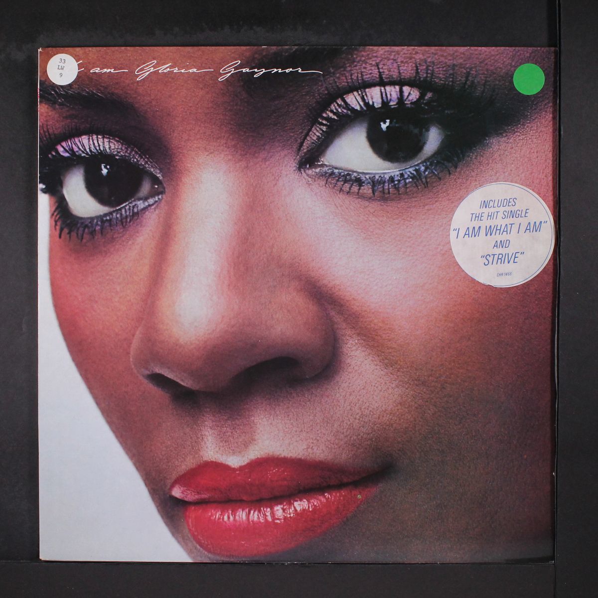 i am gloria gaynor by GLORIA GAYNOR