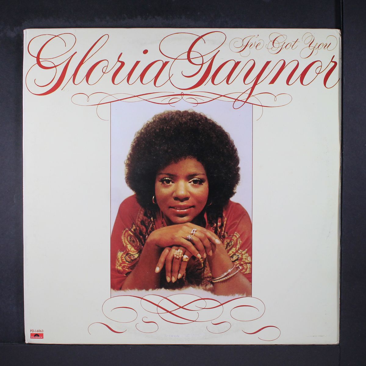 i've got you by GLORIA GAYNOR