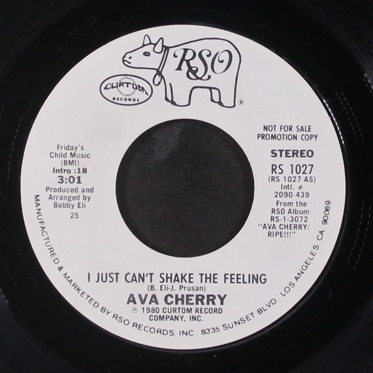 i just can't shake the feeling / mono by AVA CHERRY