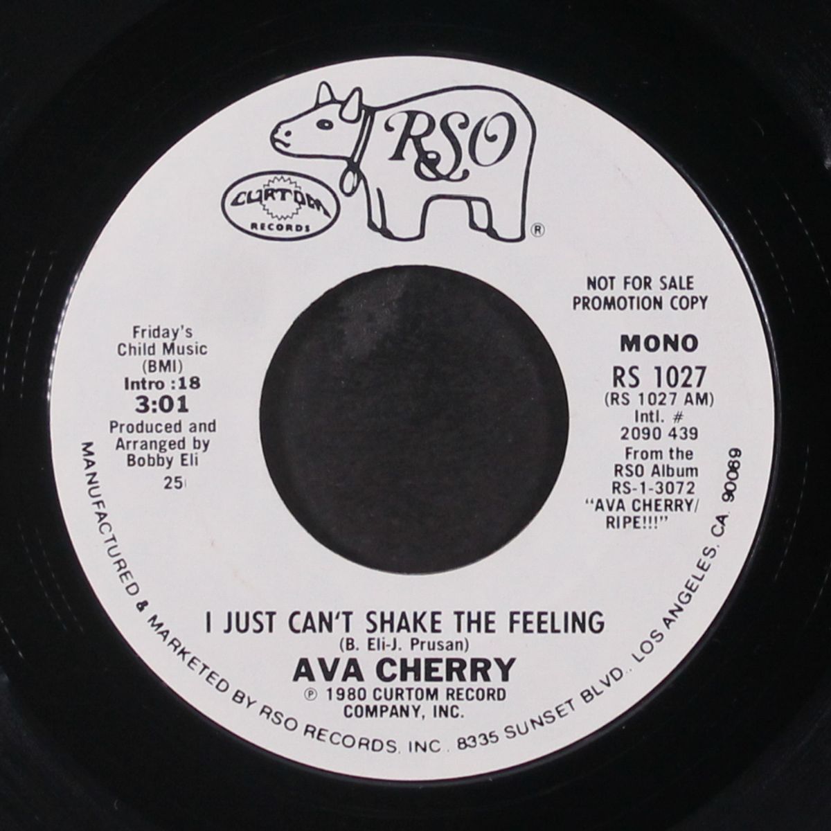 i just can't shake the feeling / mono by AVA CHERRY