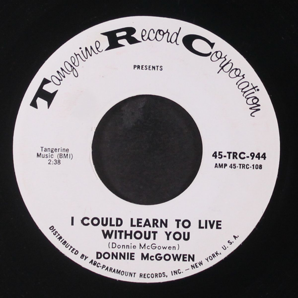 i could learn to live without you by DONNIE MCGOWEN