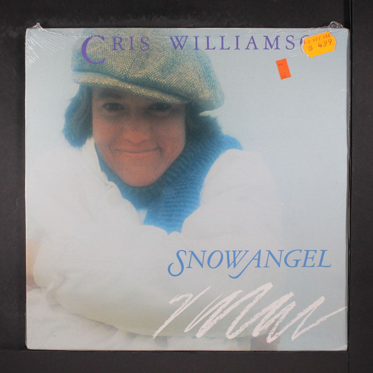 snow angel by CRIS WILLIAMSON