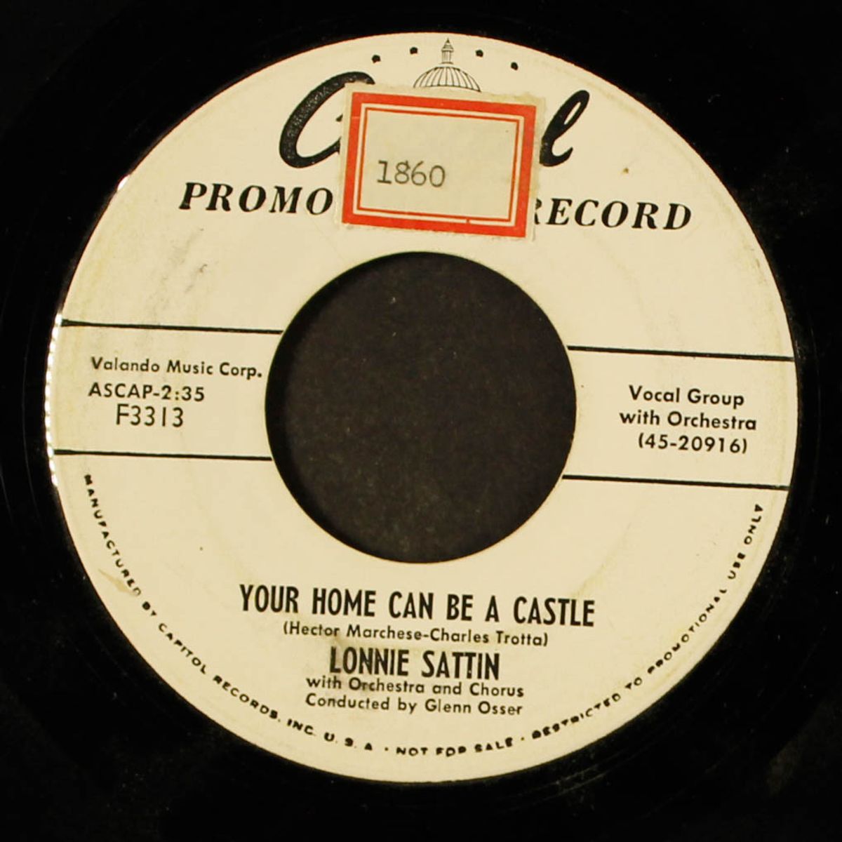 trapped / your home can be a castle by LONNIE SATTIN