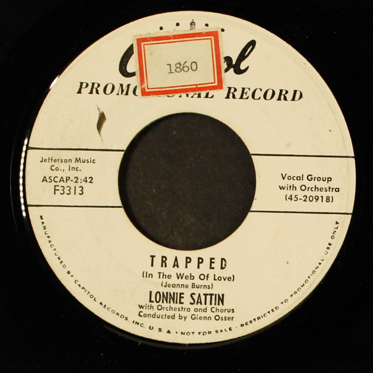 trapped / your home can be a castle by LONNIE SATTIN