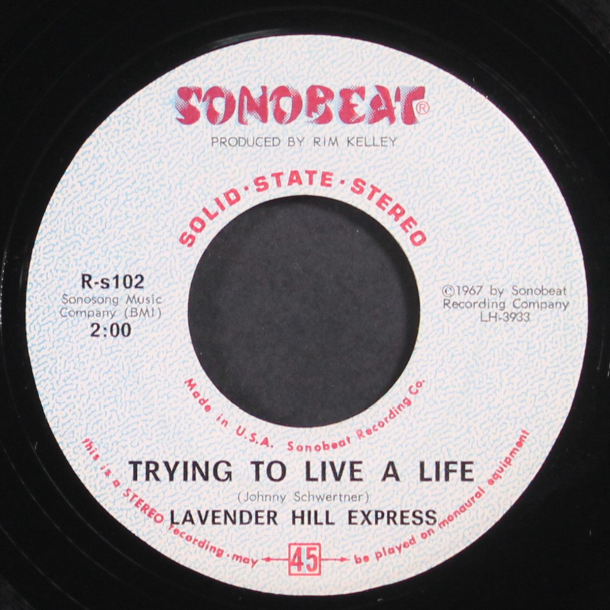 visions / trying to live a life by LAVENDER HILL EXPRESS