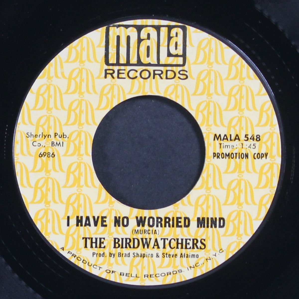 i'm gonna do it to you / i have no worried mind by BIRDWATCHERS