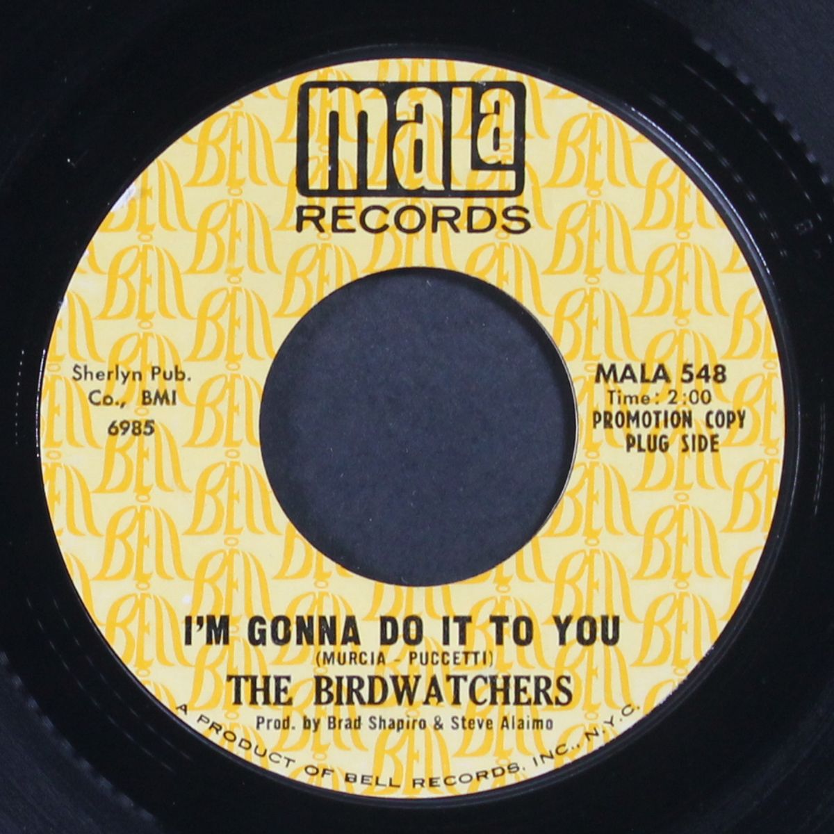 i'm gonna do it to you / i have no worried mind by BIRDWATCHERS