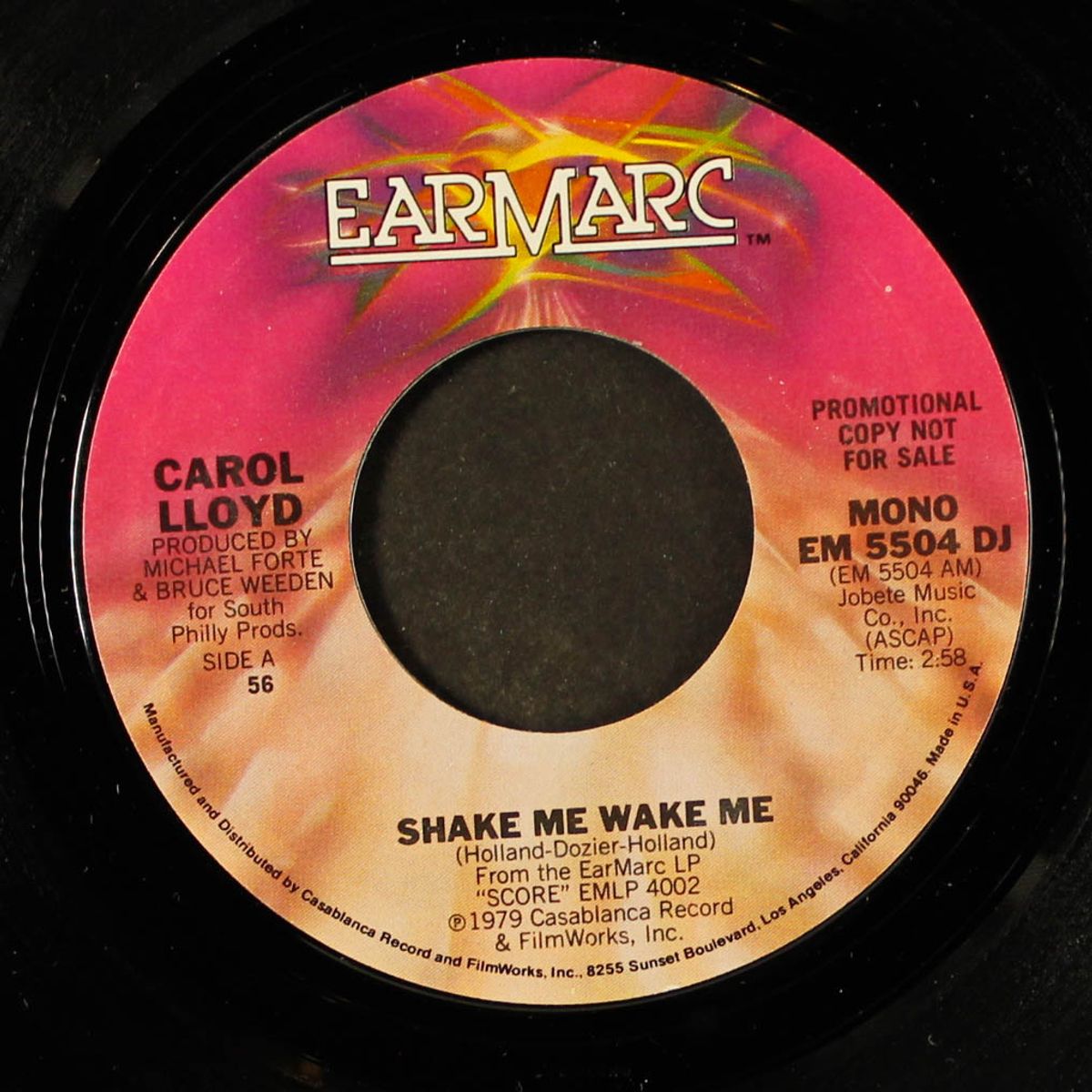 shake me wake me / mono by CAROL LLOYD