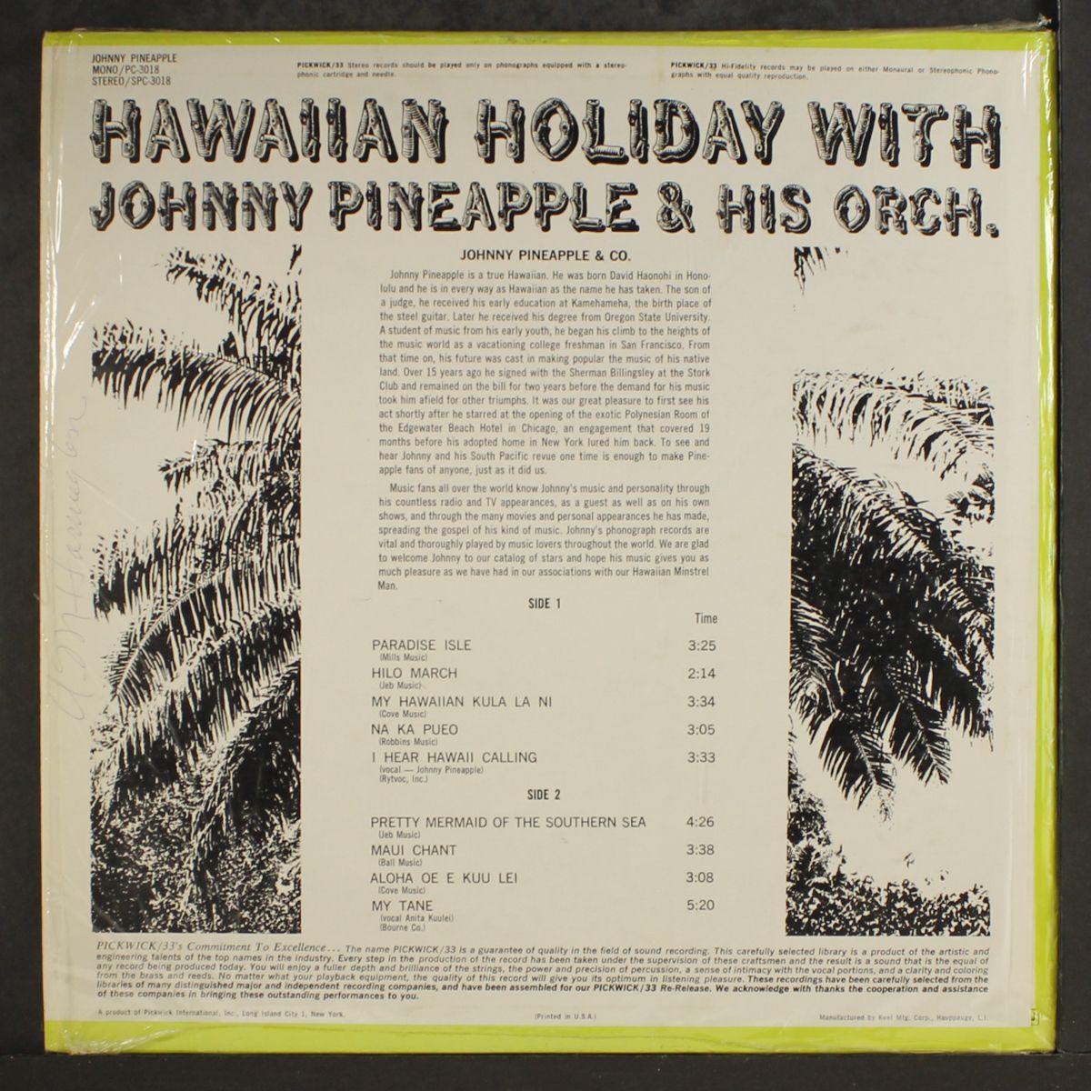 hawaiian holiday by JOHNNY PINEAPPLE