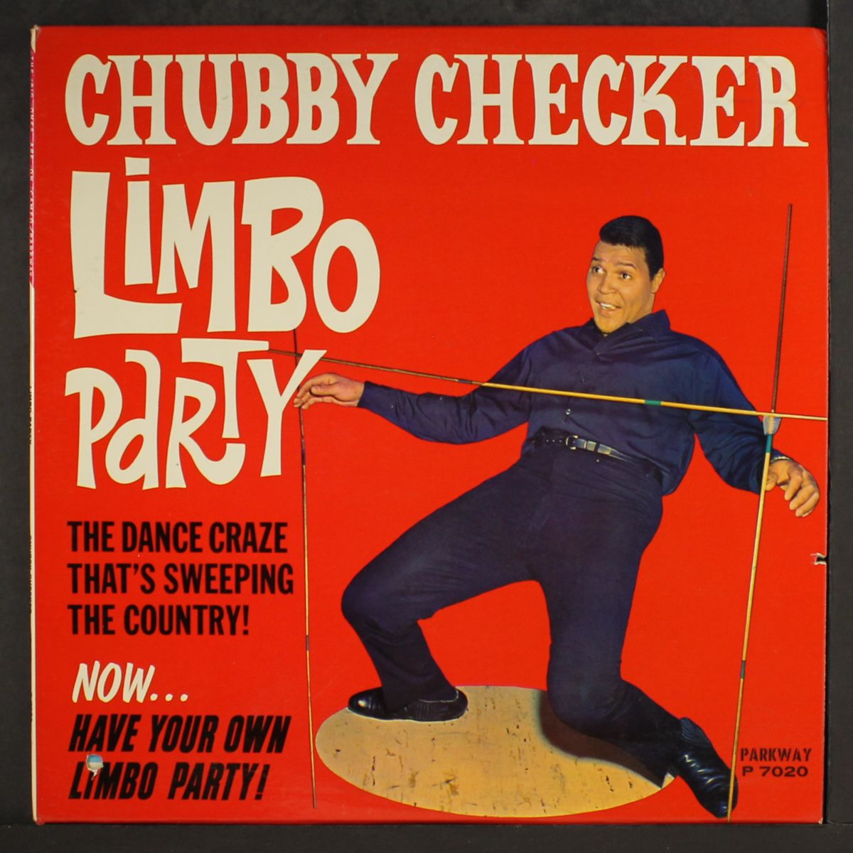 limbo party by CHUBBY CHECKER