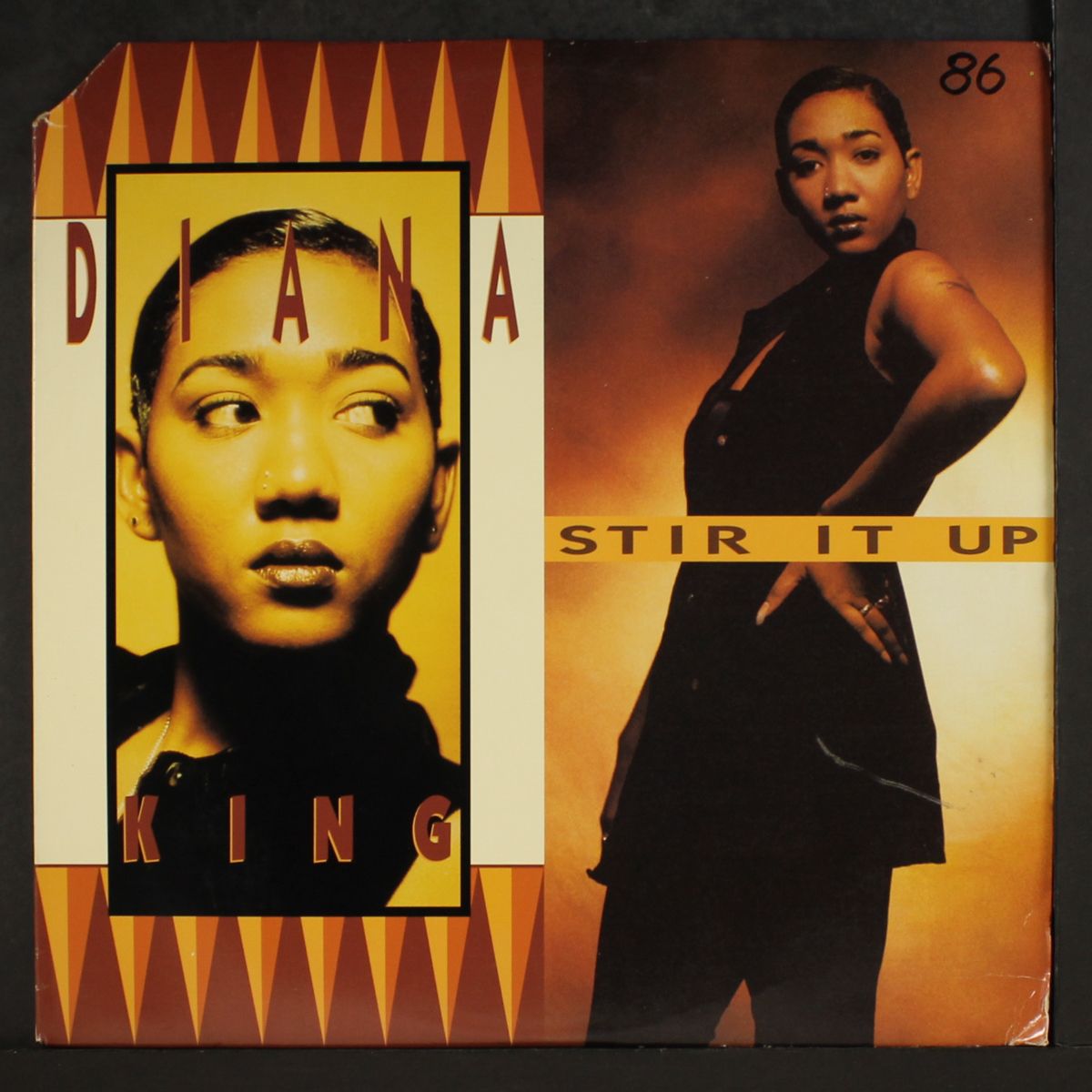stir it up by DIANA KING