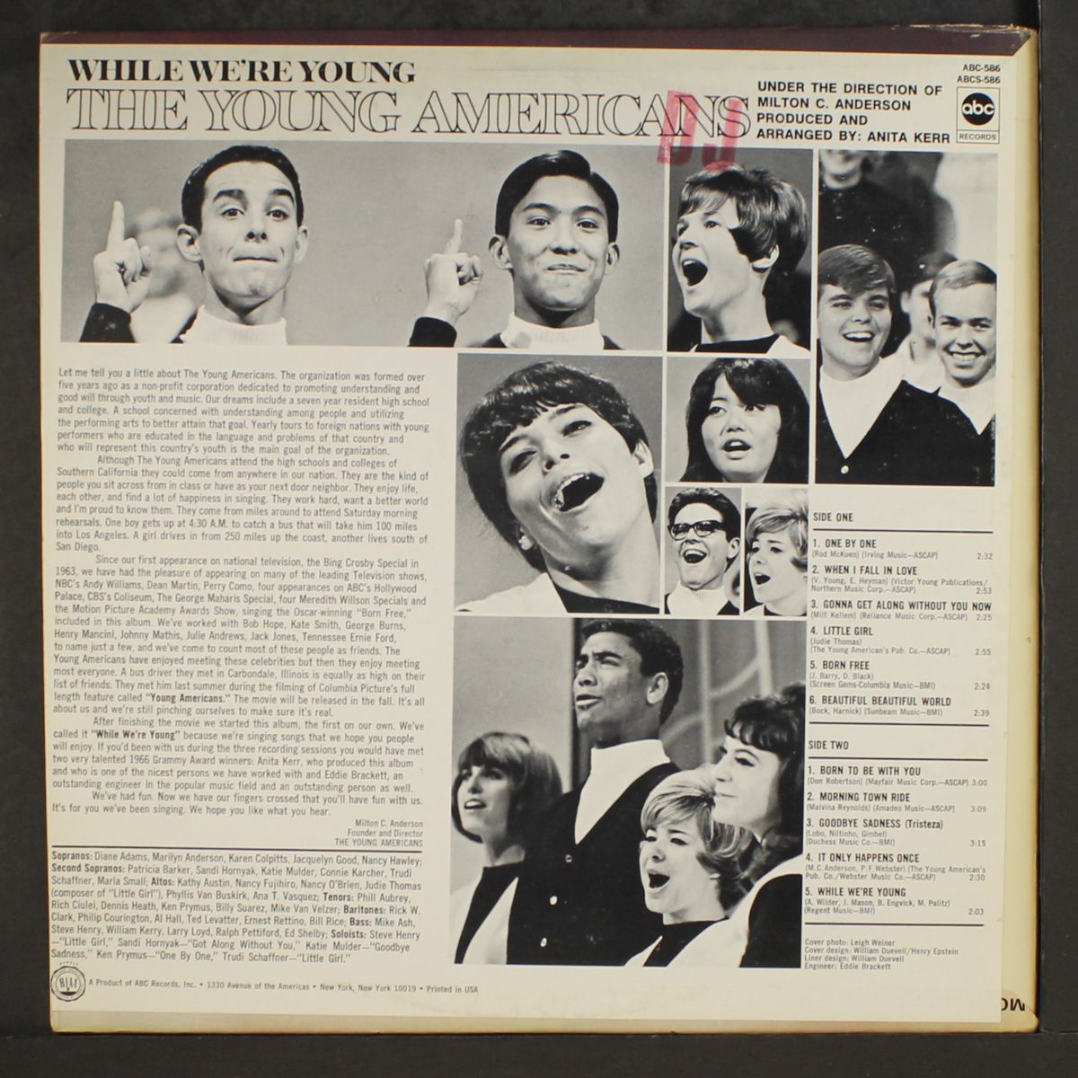 while we're young by YOUNG AMERICANS