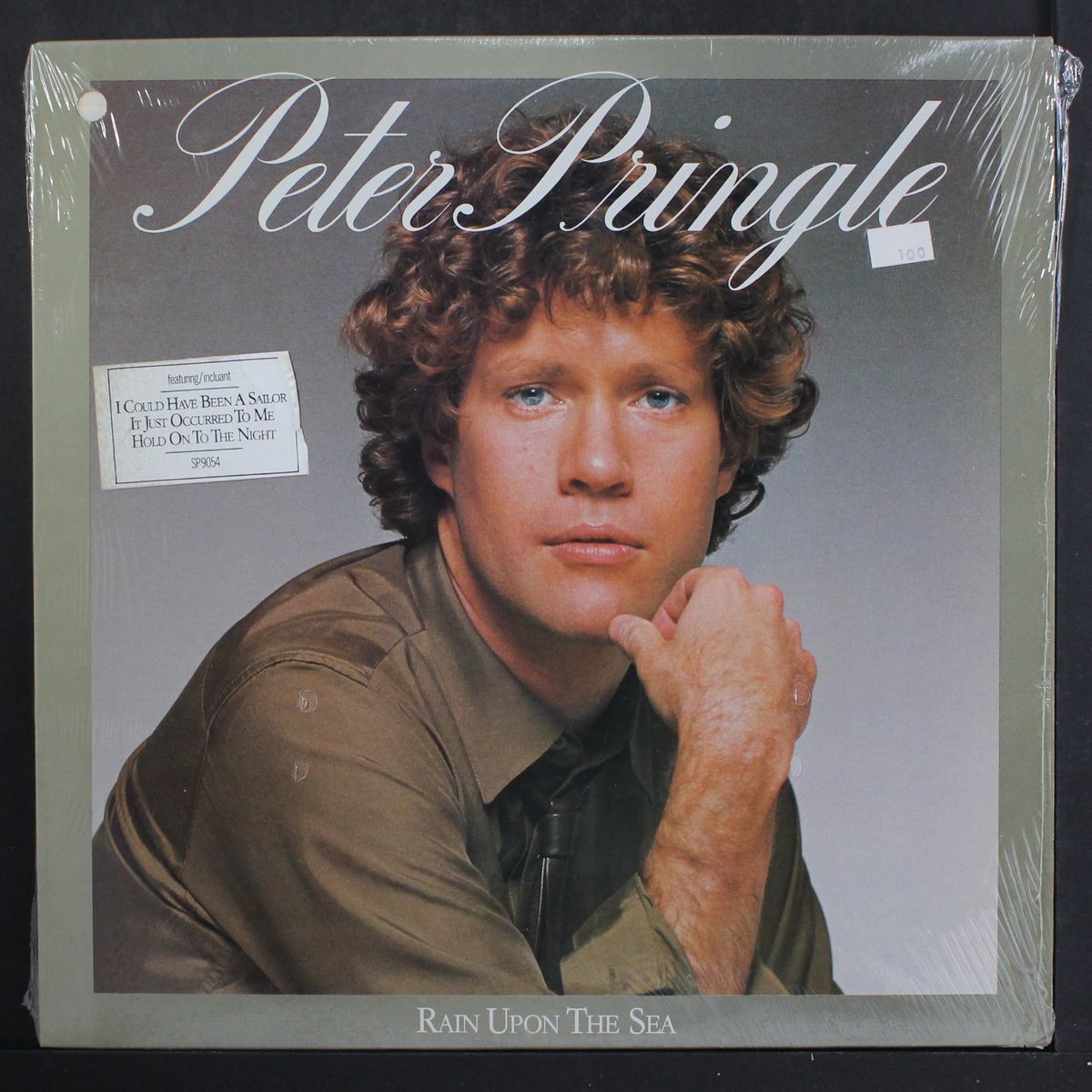rain upon the sea by PETER PRINGLE