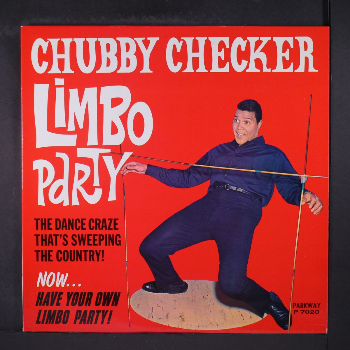 limbo party by CHUBBY CHECKER
