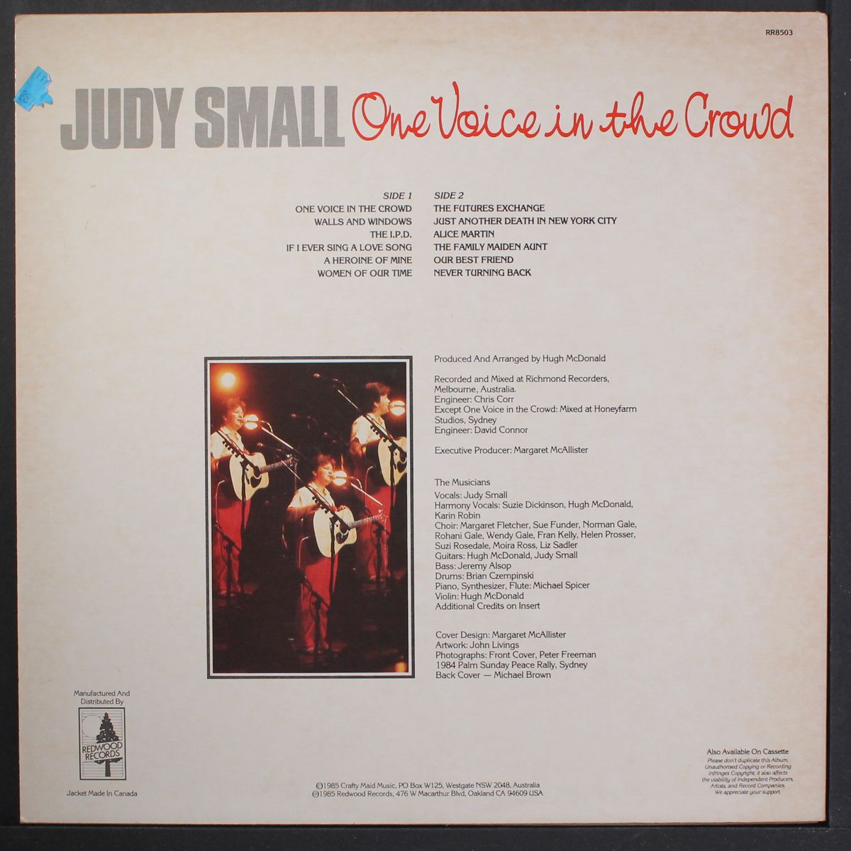 one voice in the crowd by JUDY SMALL