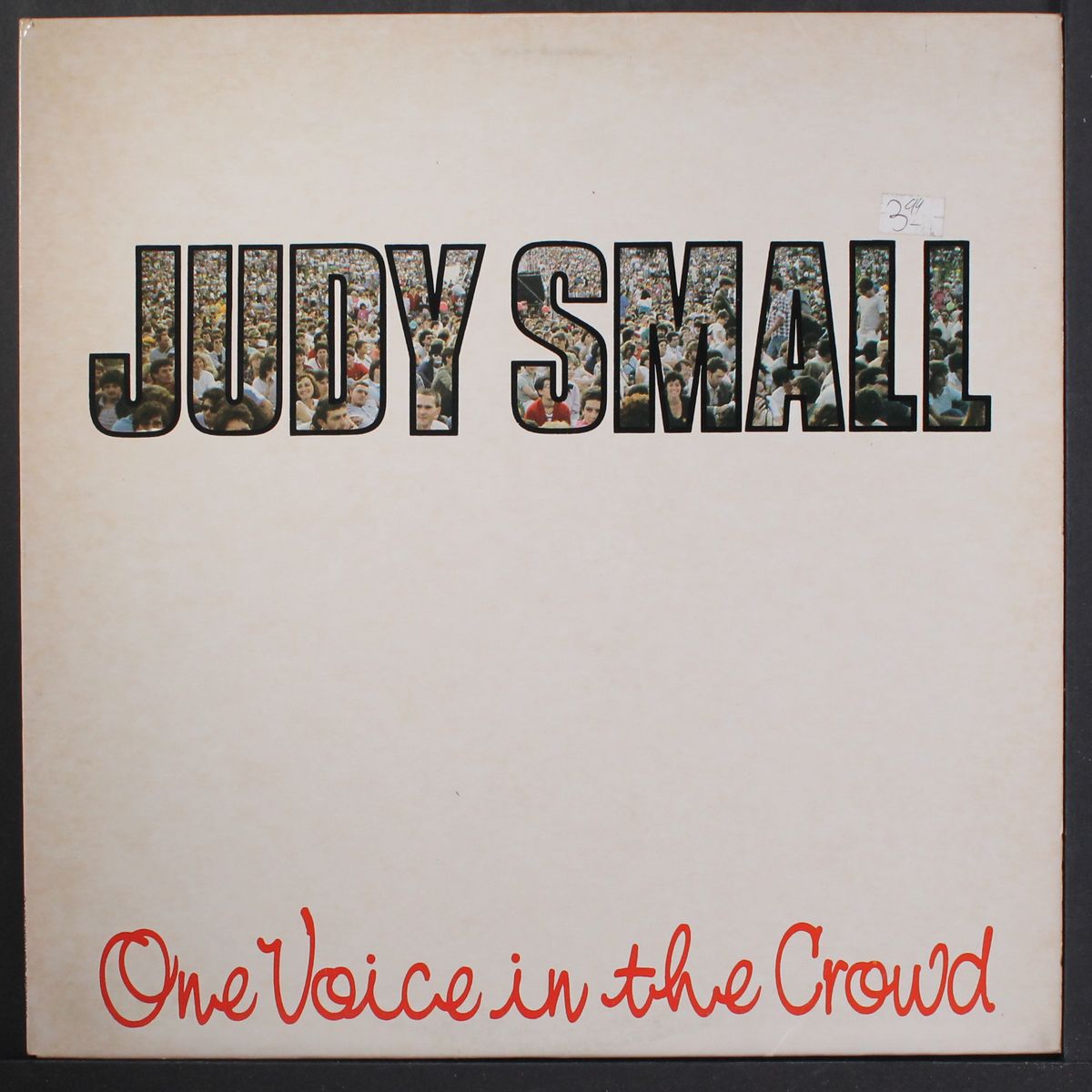 one voice in the crowd by JUDY SMALL