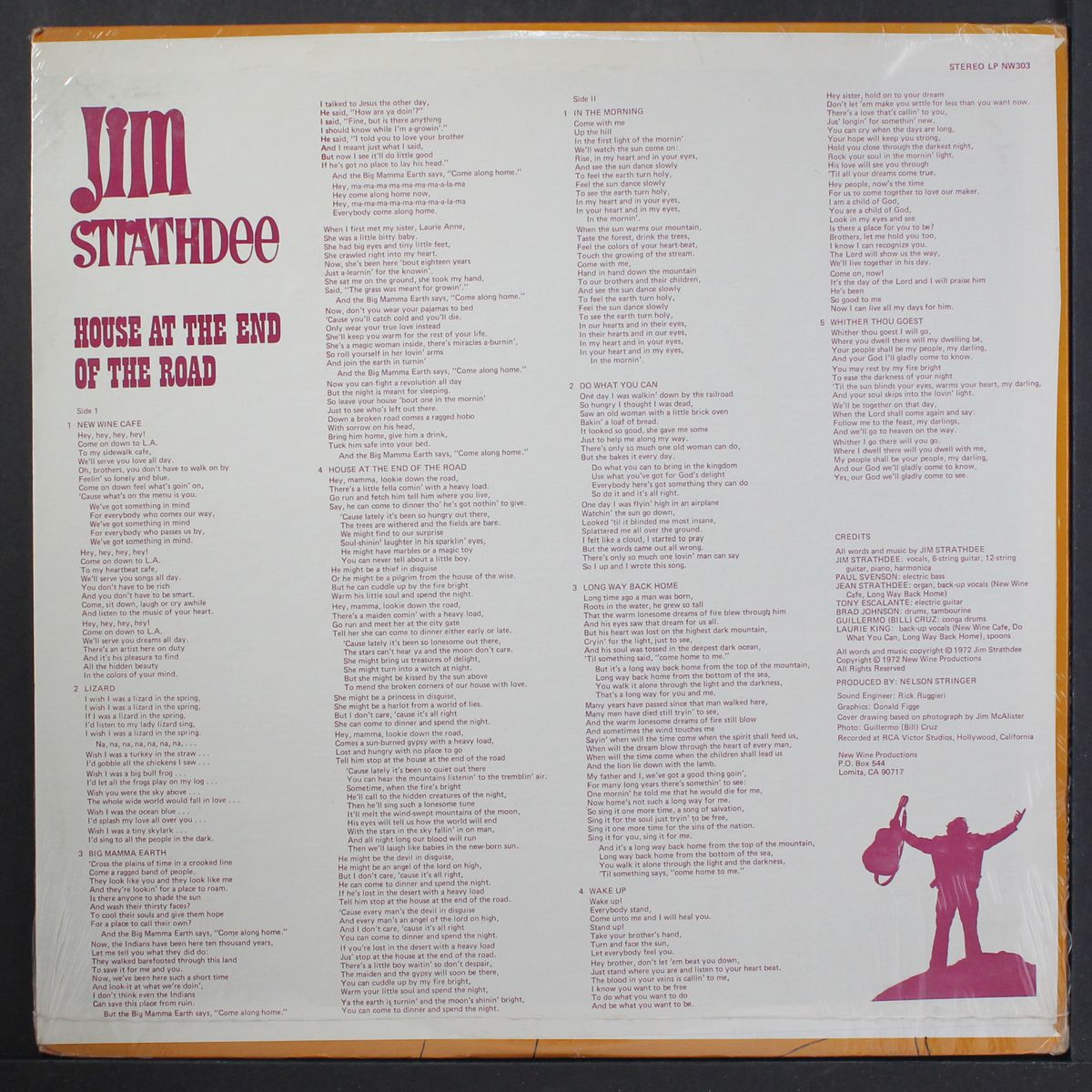 house at the end of the road by JIM STRATHDEE