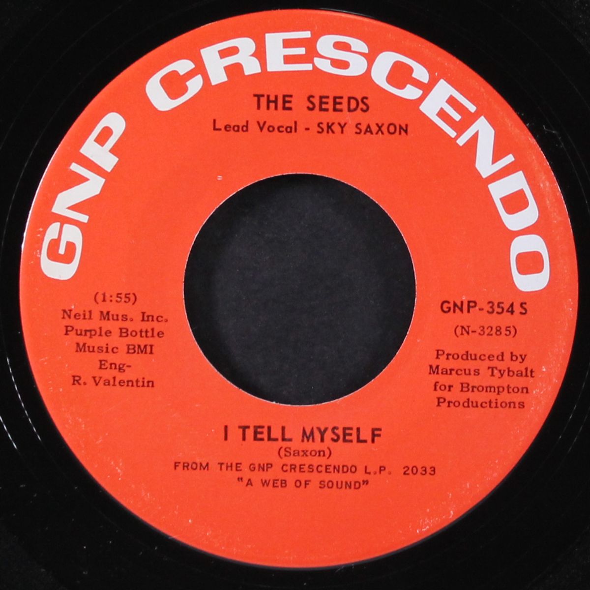 can't seem to make you mine / i tell myself by SEEDS